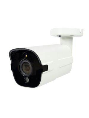 Cámara de videovigilancia PNI IP818JS, POE