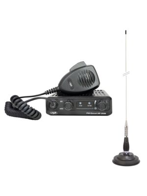Estación de radio y antena de coche, PNI