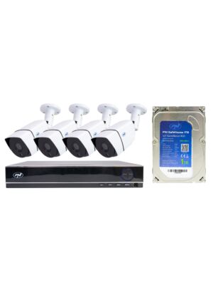 PNI House PTZ1300 Full HD con disco incluido