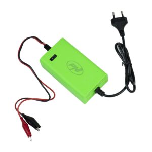 Cargador y rectificador PNI M200