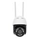 Cámara de videovigilancia inalámbrica PNI IP845, Black Light, WiFi, PTZ, ranura micro SD 4MP, Autónoma, aplicación ICSee