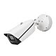 Cámara de videovigilancia PNI IP9444 4MP, AI, POE, 12/24, zoom óptico motorizado
