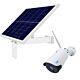 Cámara de videovigilancia inalámbrica PNI IP52LR y panel solar fotovoltaico PNI PSF6020A