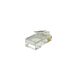 Conector PNJ RJ45 para cable UTP Cat 6